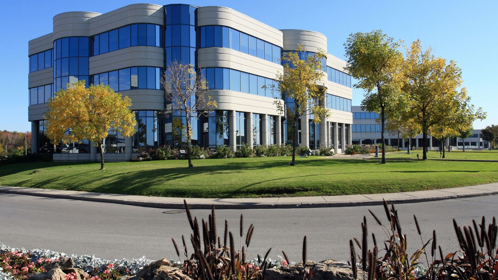 How to Choose the Right Contractor for Your Business Project
